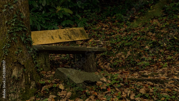 Obraz sign on the ground