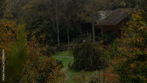 Obraz nature and garden of autumun