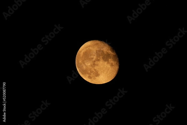 Obraz moon in the night