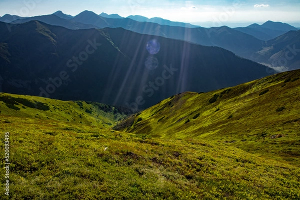 Obraz West Tatry 2022