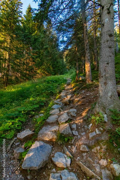 Obraz West Tatry 2022