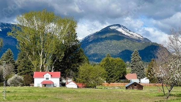 Fototapeta HAMILTON, MT, MAY 2022: white house with red roof and nearby hut, grassland, trees, and heavy clouds over mountains in background