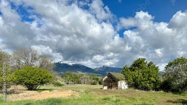Fototapeta View across grassland with a hut at one side, trees and scrub vegetation, clouds over nearby mountains in background, in Hamilton, Montana