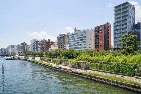 Obraz 河川敷に並ぶビルやマンション