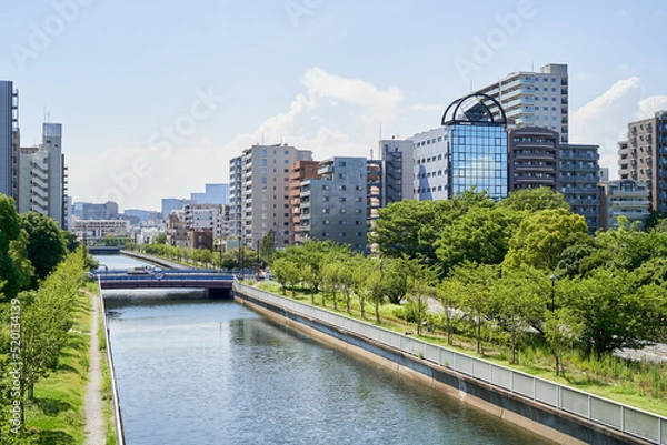 Obraz 河川敷に並ぶビルやマンション