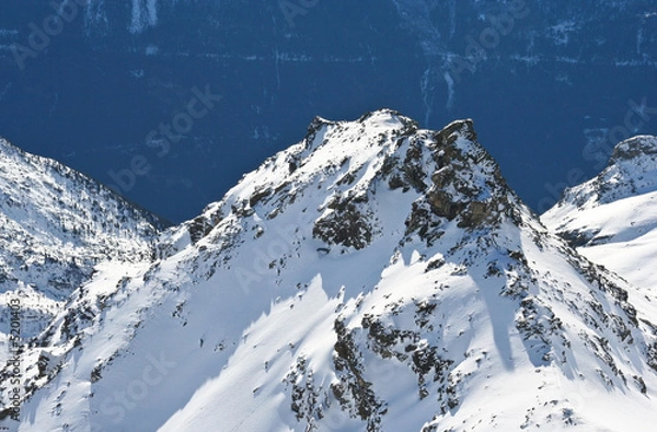 Obraz The French alps