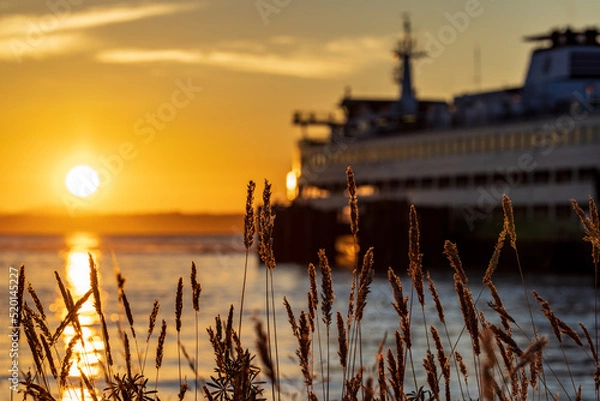 Fototapeta A ferry at dock during sunset, with a stand of grass in the foreground