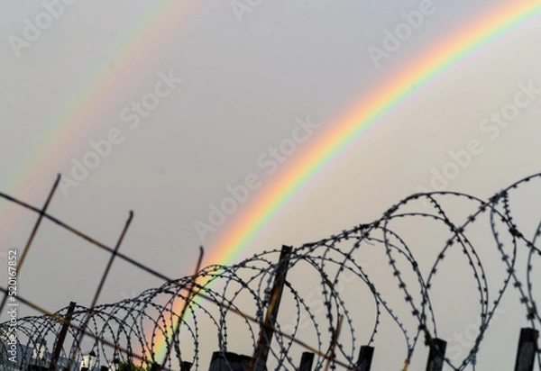 Fototapeta Double rainbow behind rows of a barbed wire. LGBTQ freedom suppression concept.