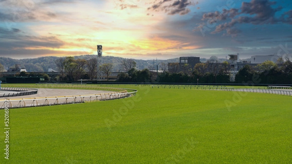 Obraz Racetrack turf