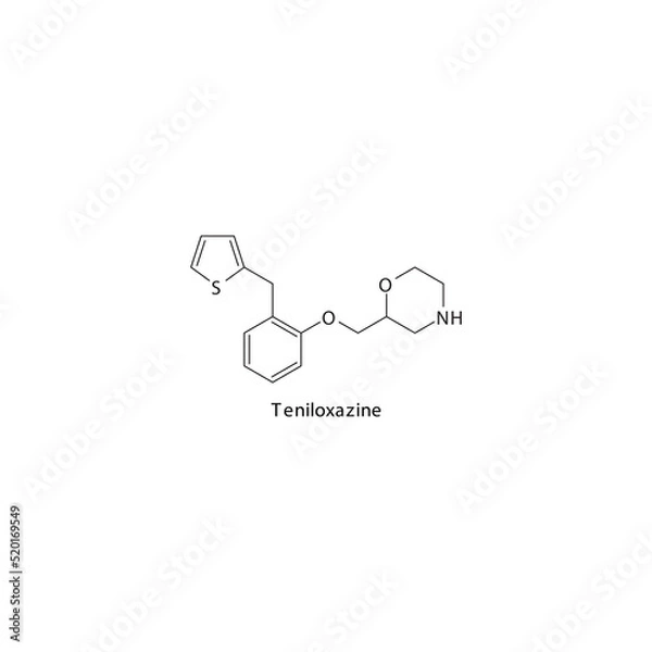 Fototapeta Teniloxazine molecule flat skeletal structure, Selective NRI - Selective norepinephrine reuptake inhibitor class drug used in depression treatment. Vector illustration on white background.