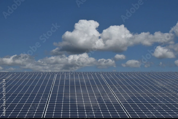 Fototapeta 青空を背景にした、一面に広がるソーラーパネル