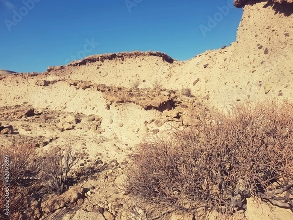 Obraz landscape with sky