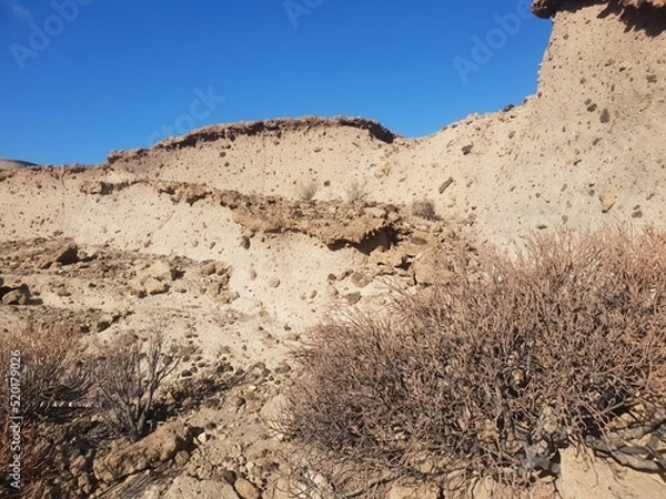 Obraz landscape with sky