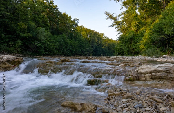 Fototapeta river in the woods