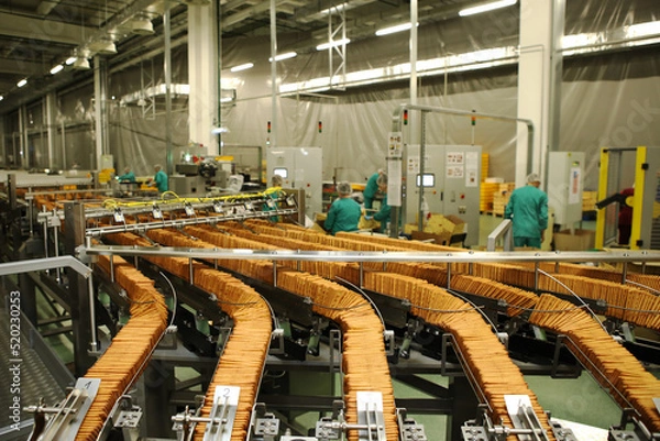 Fototapeta A lot of cookies on the production line. The flow of sweets before packaging. Packing crackers on the machine. Innovative production.