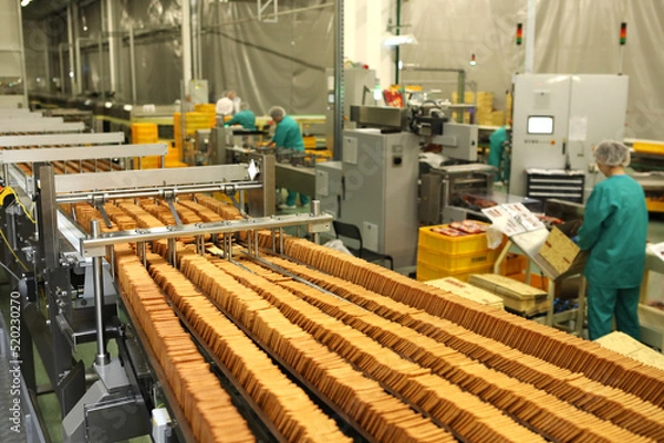 Fototapeta A lot of cookies on the production line. The flow of sweets before packaging. Packing crackers on the machine. Innovative production.
