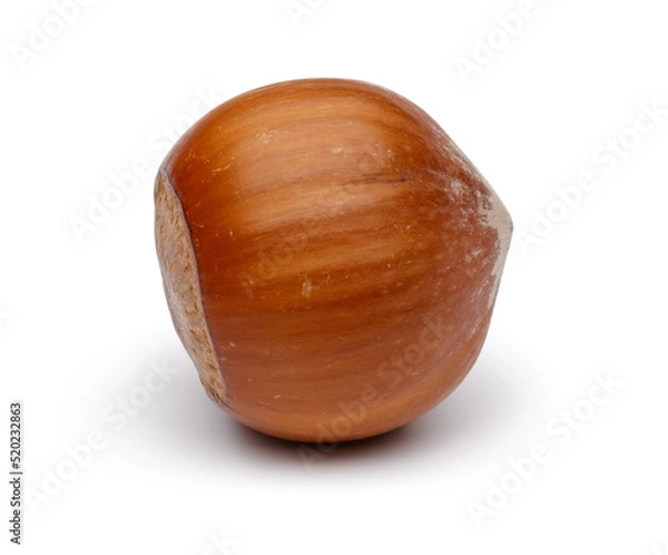 Fototapeta hazelnut isolated on white background