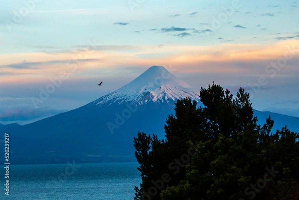 Obraz Osorno Volcano. Los Lagos. Chile.