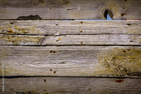 Obraz Old plank board patter