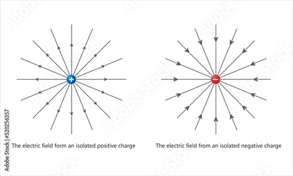 Fototapeta Electric fields from an isolated positive and negative charge. electric field lines