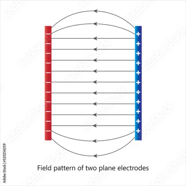 Fototapeta Electric field pattern of two plane electrodes. Electric field lines