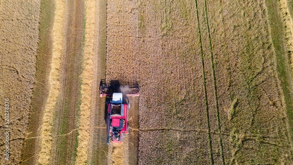 Fototapeta Aerial view combine harvester harvesting on the field. Harvesting wheat. Harvester machine working in field.