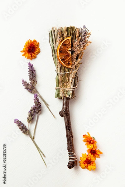 Obraz Dry flowers