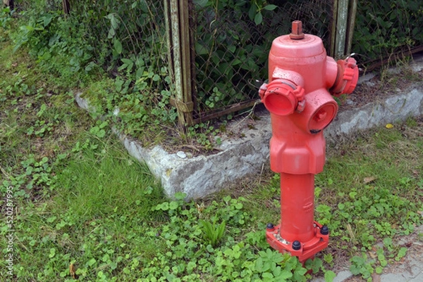 Fototapeta Bright red fire hydrant on the background of green grass