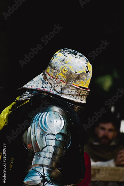 Obraz knight portrait