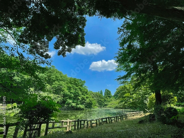 Obraz 井の頭公園、東京