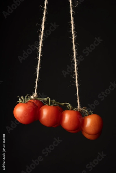 Obraz Tomatoes hang on a rope on a dark background