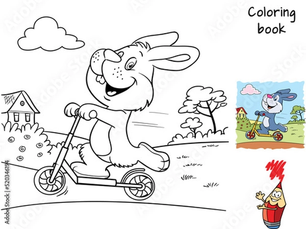 Obraz Rabbit riding a scooter. Coloring book