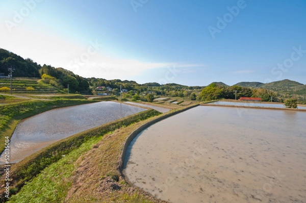 Fototapeta 新緑の山並みと棚田