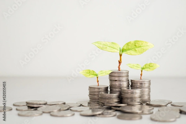 Fototapeta coins stack with plant green leaves growth on top coin on white background. financial, investment and money saving concept. ESG Environmental Social Governance. startup.