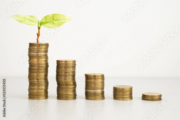Fototapeta coins stack with plant green leaves growth on top coin on white background. financial, investment and money saving concept. ESG Environmental Social Governance. startup.