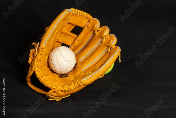 Obraz 野球の用具