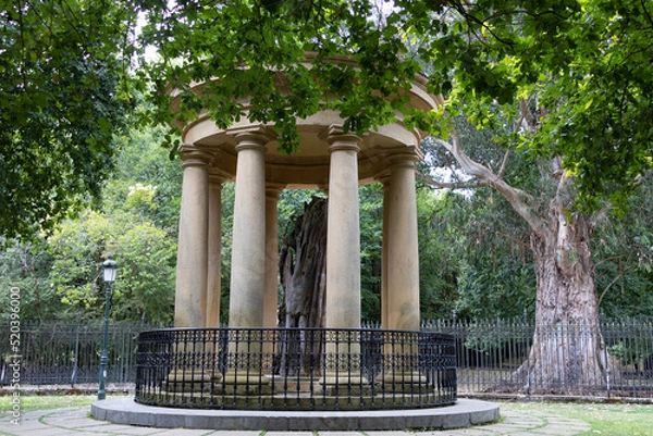 Obraz Árbol de Guernica