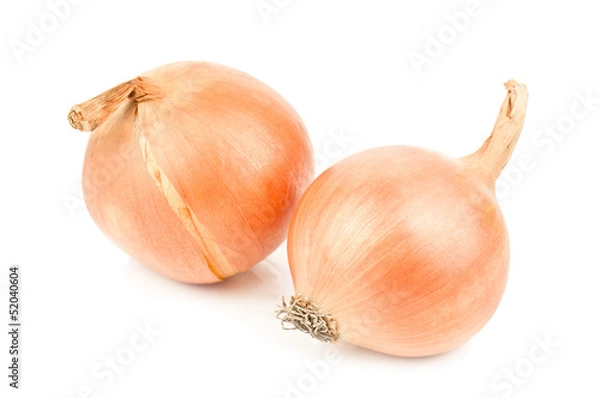 Obraz two raw onion