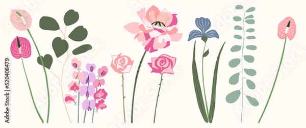 Obraz Florist. Elegant florals. 