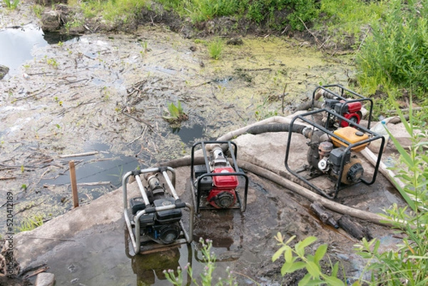 Obraz Drainage of a reservoir, swamp, lake with the help of high pressure water pumps. Water pumps pump water from the pond. Violation of the ecological balance.
