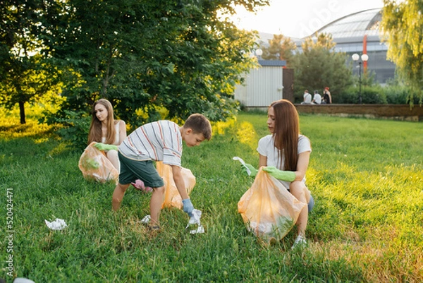 Fototapeta A group of adults and children together at sunset is engaged in garbage collection in the park. Environmental care, waste recycling. Sorting garbage.