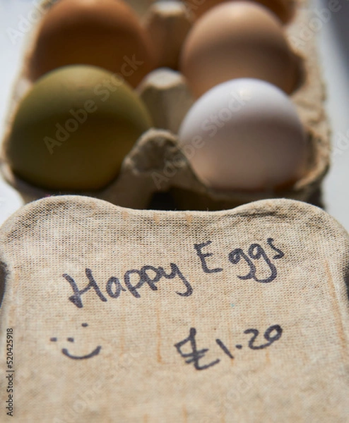 Fototapeta free range chicken eggs in a carton box with a 'happy eggs' handwriting.