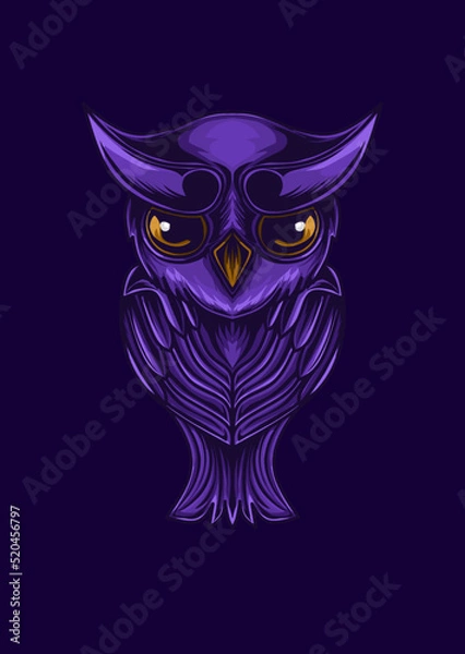 Obraz owl in the night