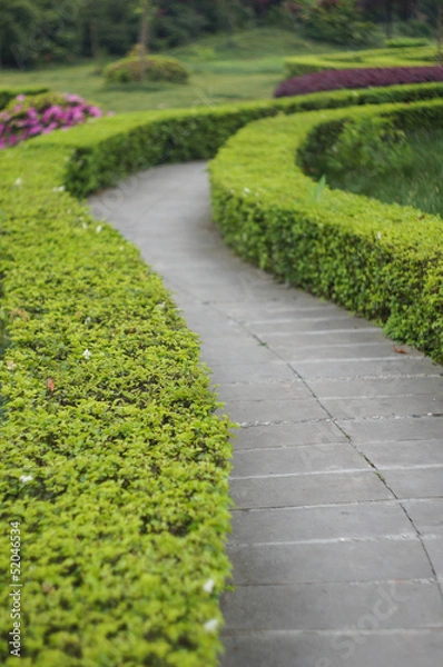 Fototapeta Path in garden