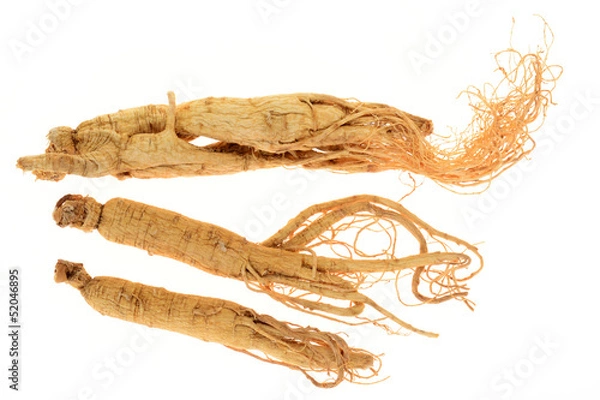 Obraz Dried Ginseng Roots Isolated On White Background