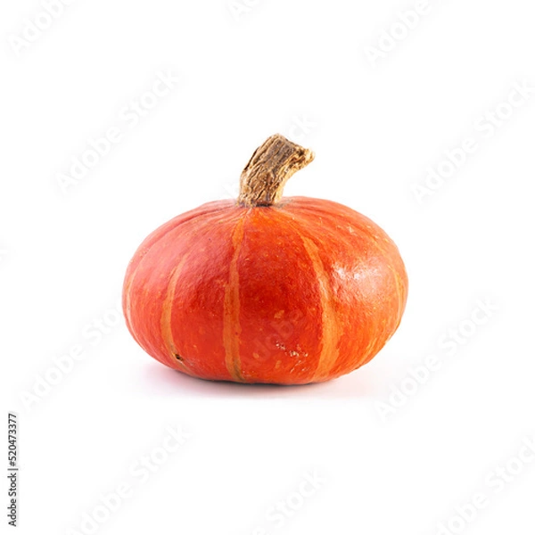 Obraz Mini pumpkins isolated on a white background