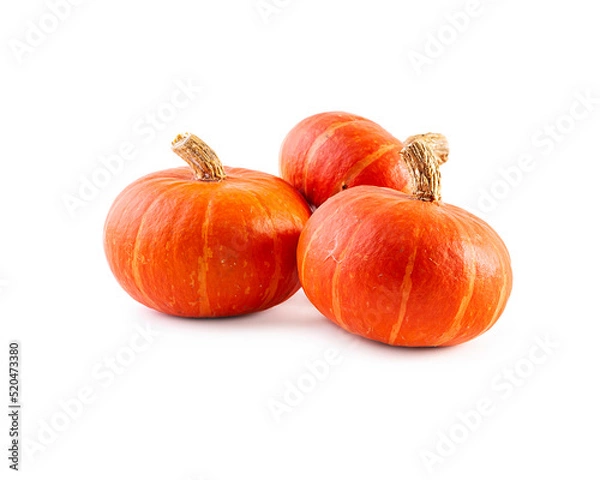 Obraz Mini pumpkins isolated on a white background