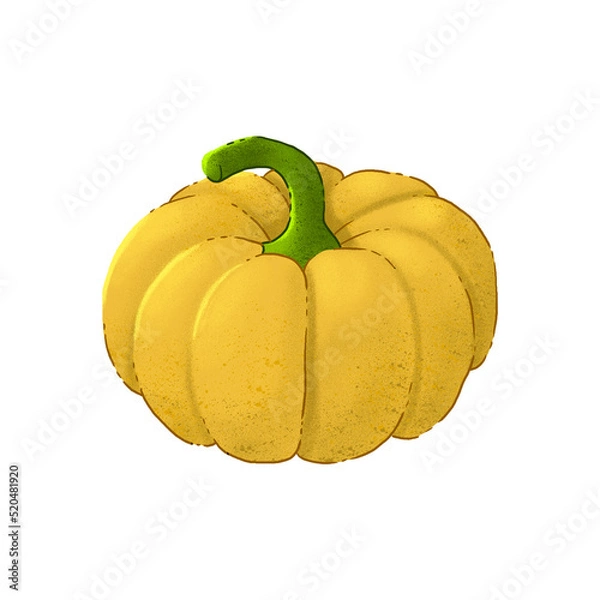 Obraz Vegetables, autumn harvest. 
Color illustration on a white background.