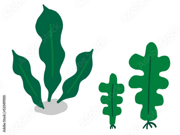 Fototapeta かわいい海藻のこんぶとわかめ／手描きイラスト素材