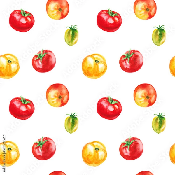 Obraz Hand painted watercolor delicious ripe tomatoes illustration isolated on white background. Hand painted seamless pattern, wallpaper, wrapping paper